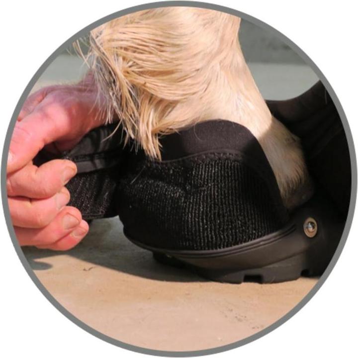 Actual product image Easyboot New Back Country (piece). Size 2.5