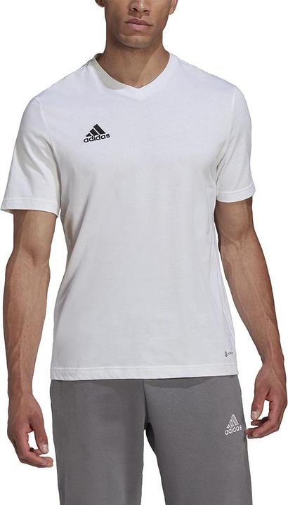 Actual product image adidas Entrada 22 T-shirt men (XS)