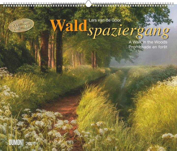 Produktbild Waldspaziergang 2026 – Fotokunst-Kalender – Querformat 60 x 50 cm – Spiralbindung (Französisch, Englisch, Deutsch)