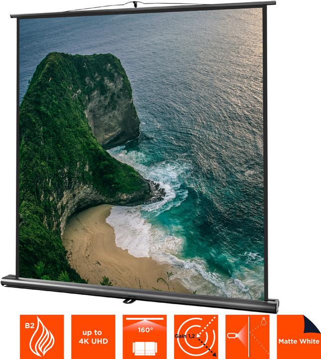 Produktbild Celexon Ultramobil Professional, Leinwand (66.93", 1:1)