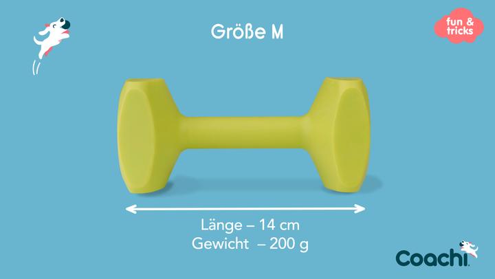 Image du produit Company of Animals Coachi Training Dumbbell (Apporter)