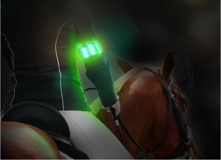 Actual product image Animal Light LED armband