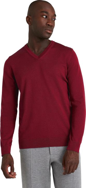 Immagine prodotto Falke BA V-Neck m (3XL)