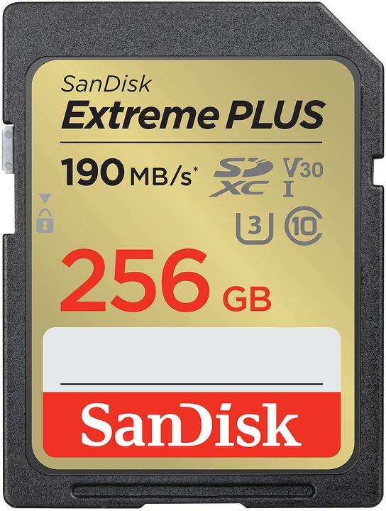 Actual product image SanDisk Extreme Plus 256GB SDHC (256 GB, SDXC, U3, UHS-I)