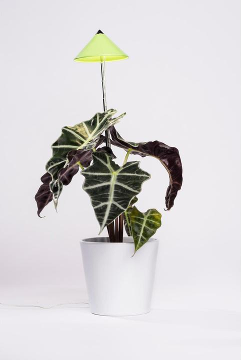 Produktbild Colibri Sunlite (LED, 230 V)