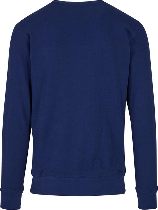 Image du produit Mister Tee MisterTee Anchor Sign EMB Light Crew Sweatshirt - 201429 (XS)