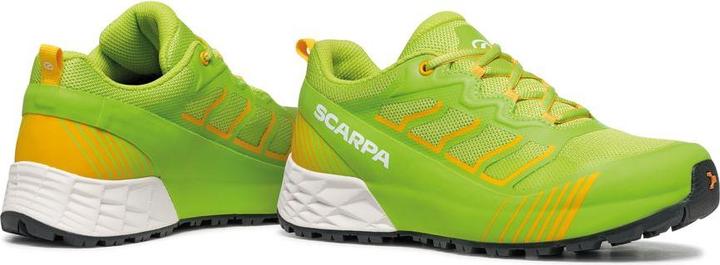 Actual product image Scarpa RR-Y (36)