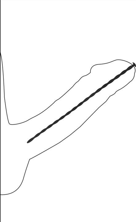 Image du produit Ouch! Set de bouchons à vis en silicone en forme de spirale - Uréthral Sounding pour débutants