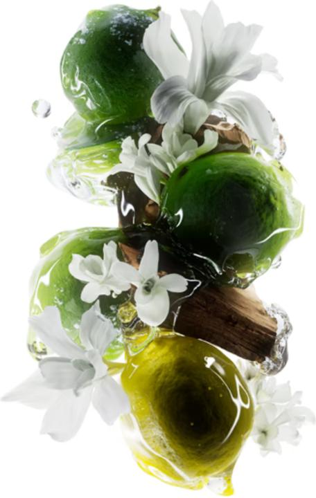 Image du produit L'Oréal Professionnel Métal DX (Set soin capillaire)