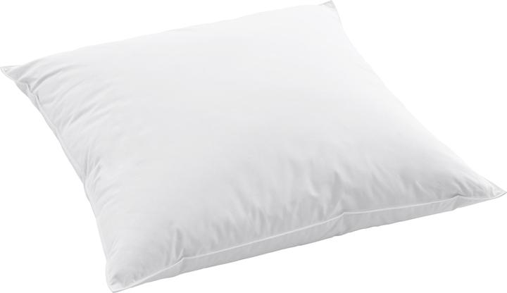 Immagine prodotto Swiss Dream by billerbeck Cuscino Clima Soft (60 x 60 cm)