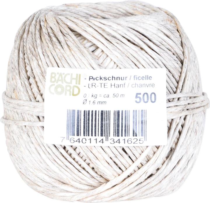 Bächi-Cord Cord Flurospun (1 Piece)