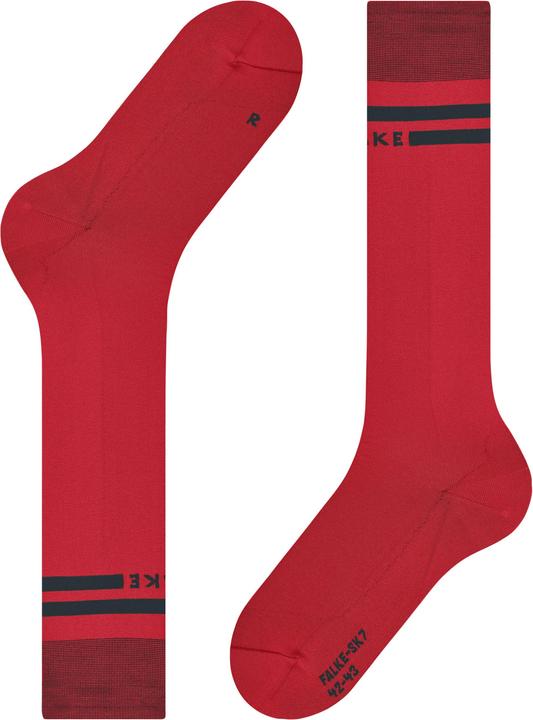 Actual product image Falke SK7 Race (42 - 43)