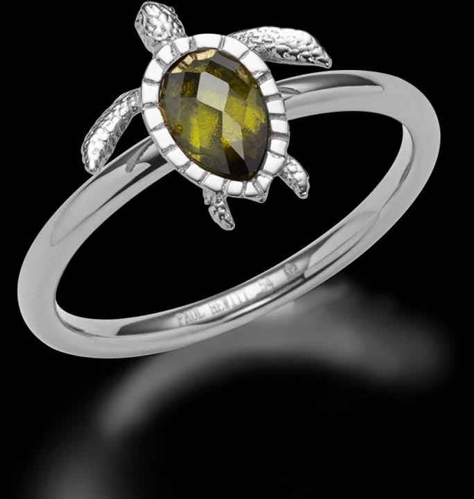 Actual product image Paul Hewitt PH-JE-0276-50 (50)