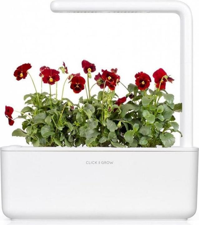 Image du produit Click and Grow Semences de pensées rouges pack de 3