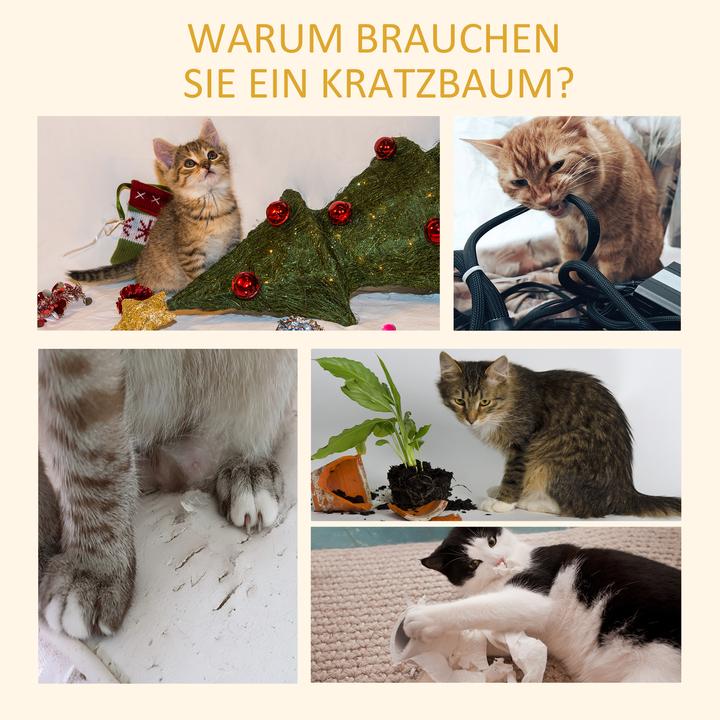 Produktbild PawHut Kratzbaum (228 cm, Braun)