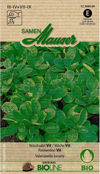 Actual product image Samen Mauser Bud organic nut salad Vit (Vegetable seeds)