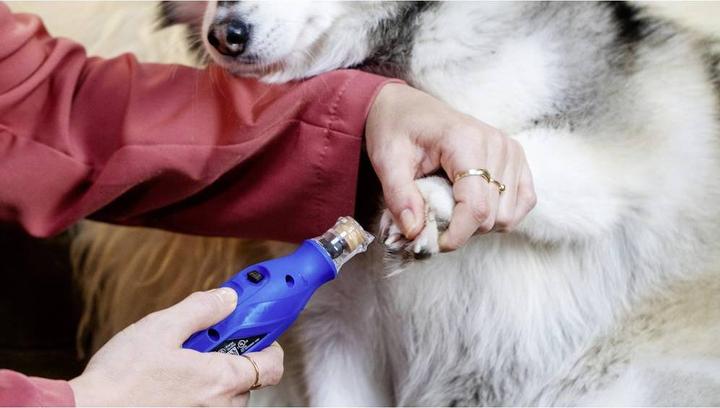 Produktbild Dremel Krallenpflegeset für Haustiere (Hund)