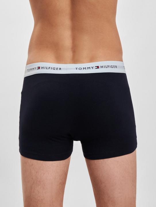 Actual product image Tommy Hilfiger WB Trunk (L, pack of 3)