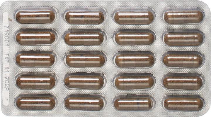 Actual product image Padma Hepaten (60 Piece, Capsules, 60 g)