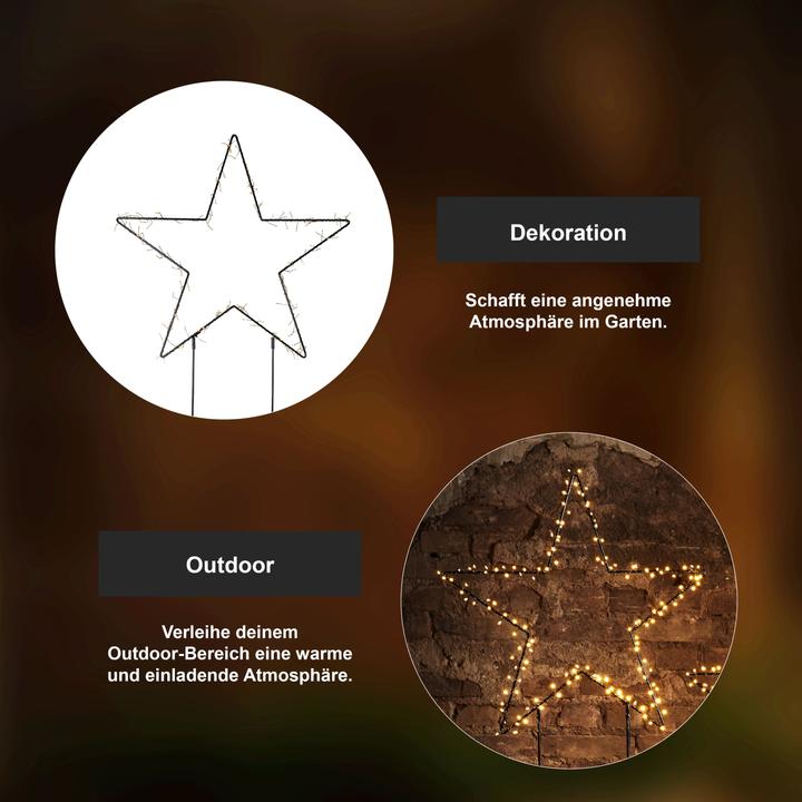 Immagine prodotto Star Trading Barlumi