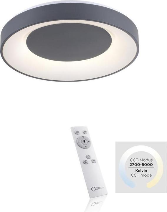 Actual product image Paul Neuhaus Anika (3200 lm)