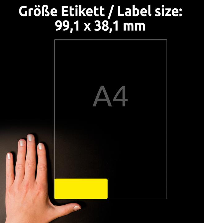 Actual product image Avery Labels in special colours