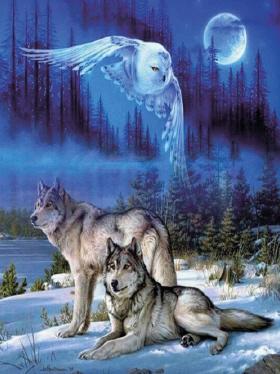 Produktbild Pracht Diamond Painting Wölfe