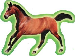 Image du produit Totum Sticker chevaux 10.2x20cm
