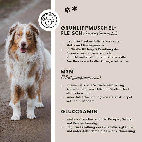 Produktbild Annimally Gelenktabletten (90 g)