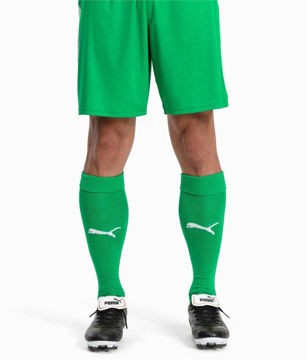 Actual product image Puma Team LIGA Socks CORE-703441 (35, 38)