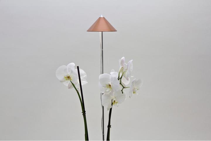 Productafbeelding Colibri Zonne (LED, 230 V)