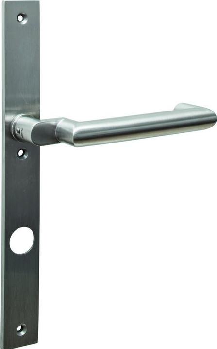 Glutz 52191 HF 50661 RZ 94 li ER A85 (Door handle)