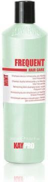 Actual product image Kay Pro KayPro Refreshing Mint Shampoo 350ml (350 ml)