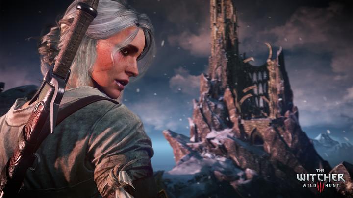 Actual product image Project The Witcher 3: Wild Hunt GOTY PC (PC)