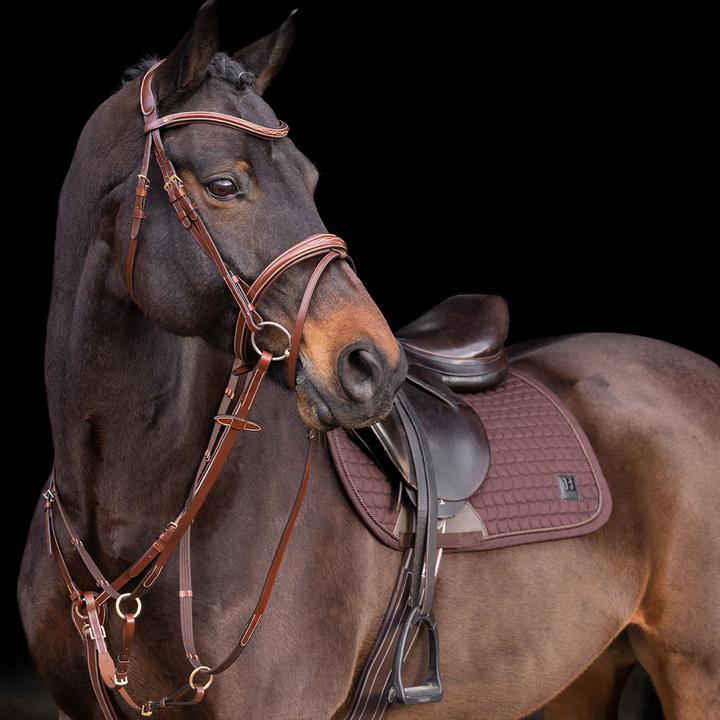 HV Polo Legacy