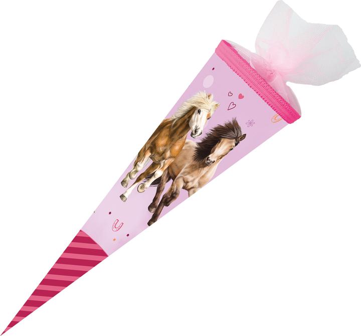 School cones