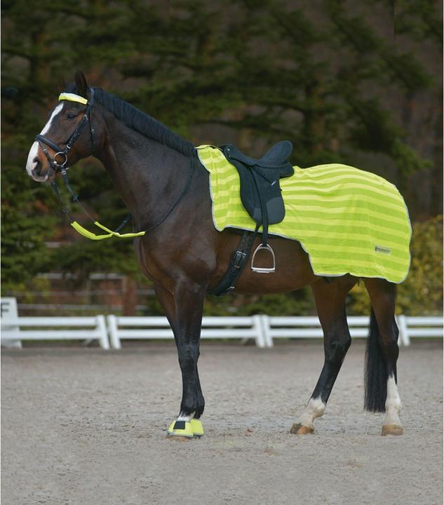 Actual product image Waldhausen Reflex studding blanket