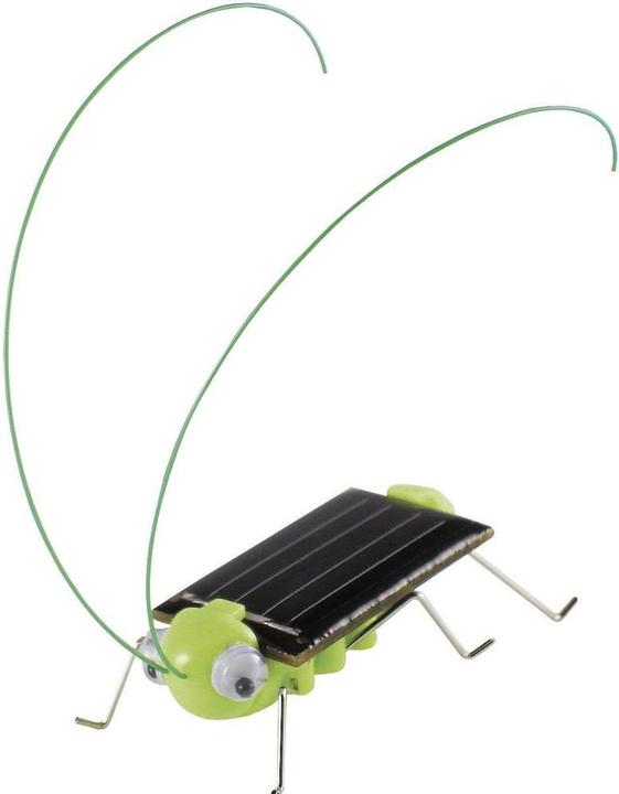 Productafbeelding Sol Expert Zonne-krekel