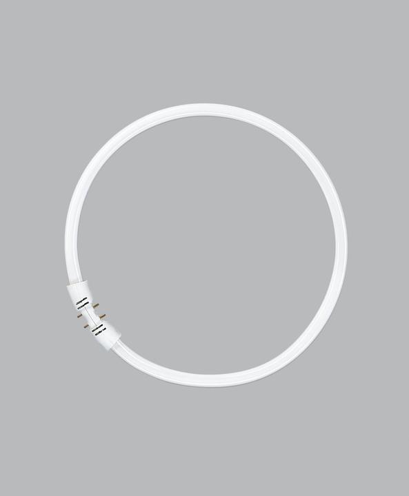 Image du produit Osram Fc 22 W/840 (2GX13, 22 W, 1900 lm, 1 x, G)
