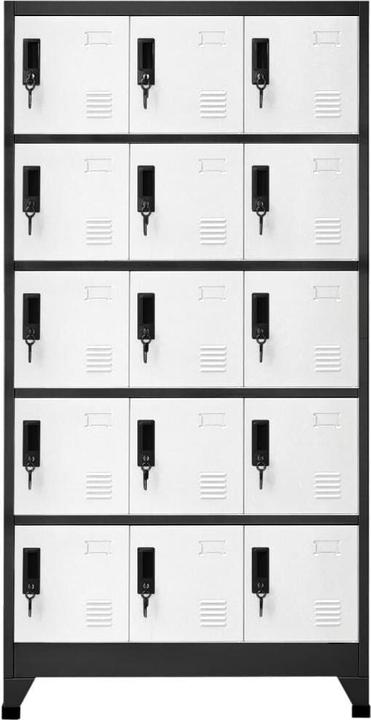 Immagine prodotto VidaXL Schliessfachschrank (90 x 40 x 180 cm)