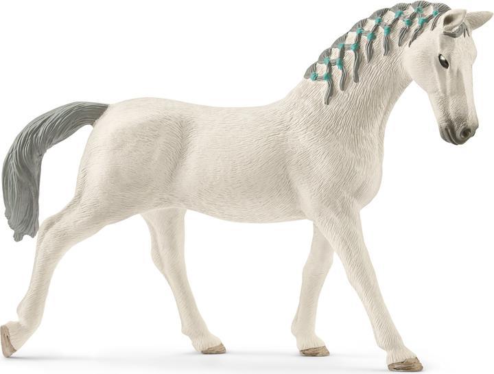 Immagine prodotto Schleich Club del cavallo 2020