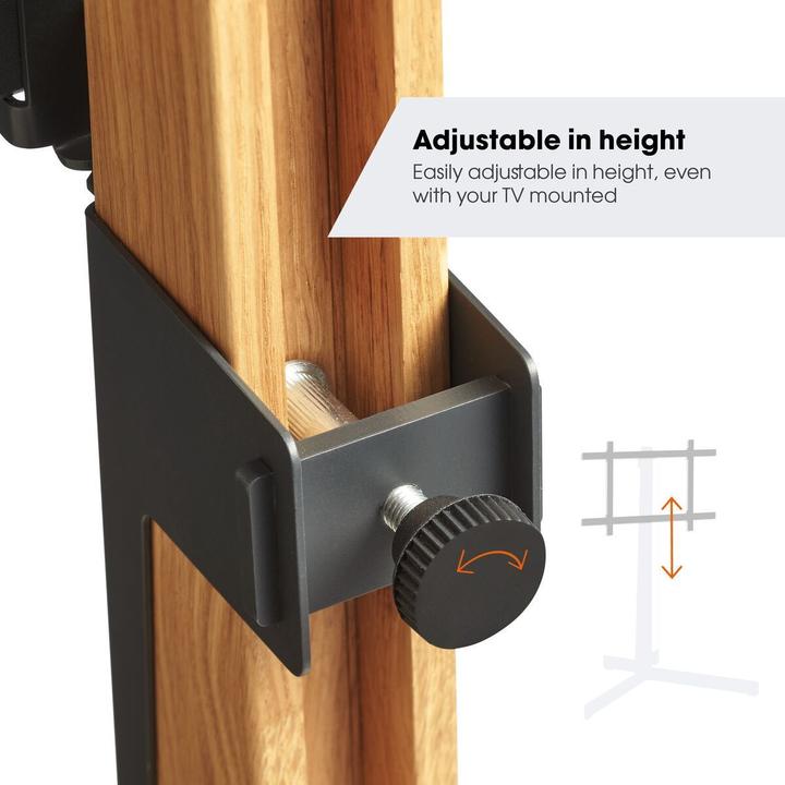 Actual product image Vogels TVS 3695 (Universal, 77", 50 kg)