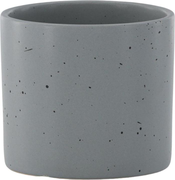 Venture Home Sane (11 cm)