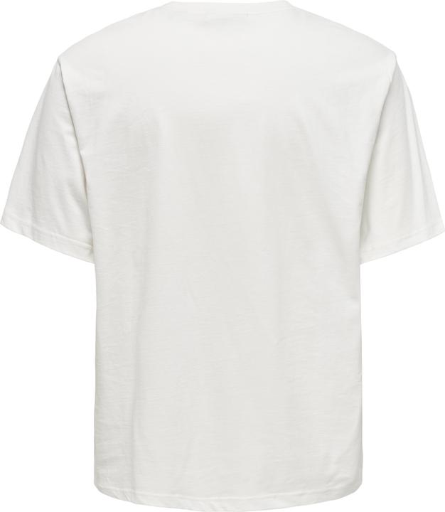 Actual product image Only & Sons Onscurated Rlx Print Ss Tee Noos (L)