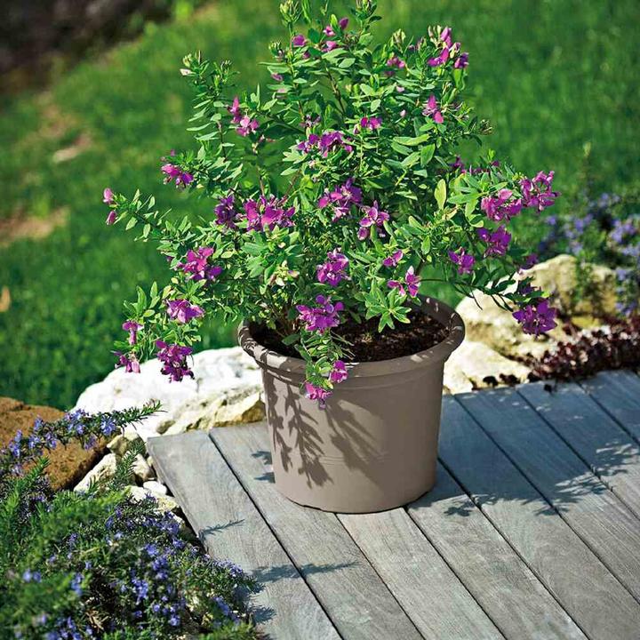 Productafbeelding Euro3plast Plantenbak (25 cm)