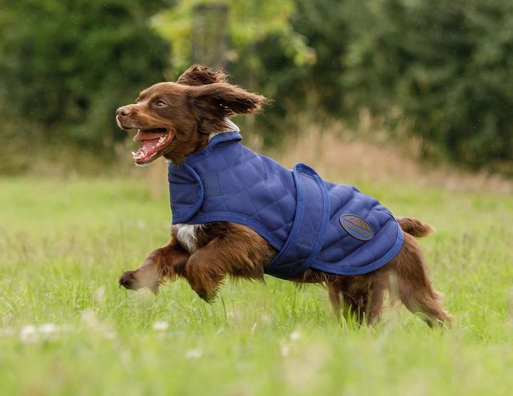 Actual product image Weatherbeeta Comfitec Deluxe Diamond (65, Dog coat)