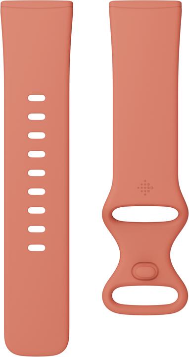 Immagine prodotto Fitbit Versa 3 (40.48 mm)