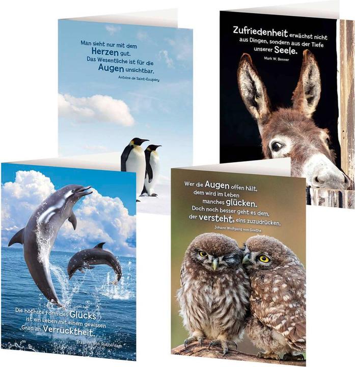 Produktbild 4er-Set Grusskarten »Tierische Weisheite (4 Stk.)