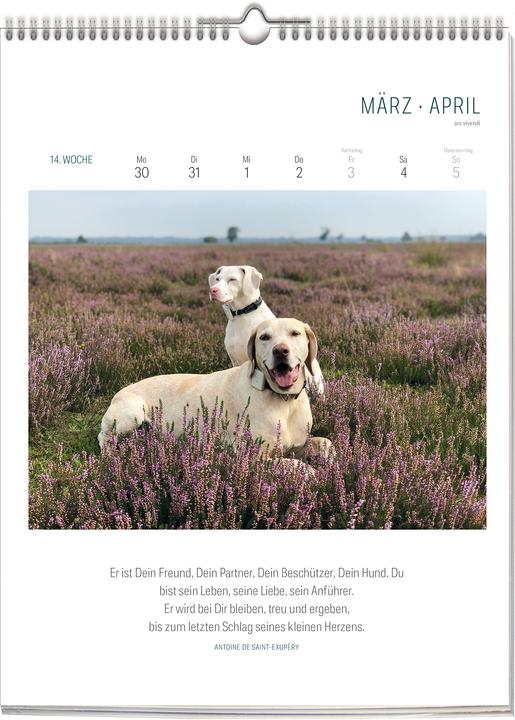 Produktbild Literarischer Hunde-Kalender 2026 (24 x 32 cm, Deutsch)