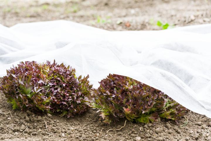 Image du produit Windhager Toison de jardin